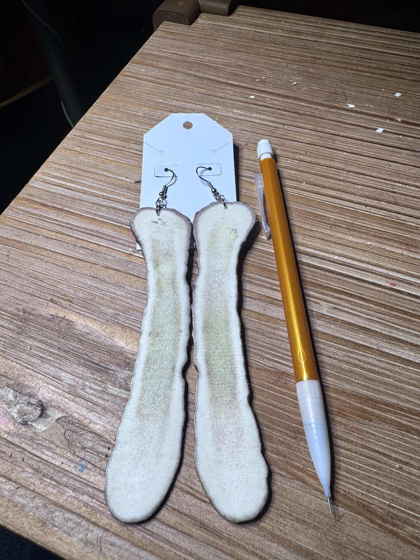 Moose Paddle Antler Cross Section